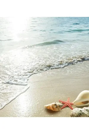 Réduction Revêtement de sol plage - Les coquillages au coucher du soleil