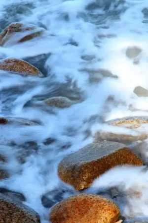 Réduction Revêtement de sol paysage - Les pierres dans la rivière