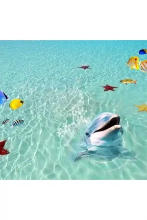 Gros Lot Revêtement sol trompe l'œil 3D - Le dauphin