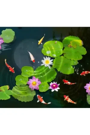 Revêtement sol Zen - Les nénuphars et les poissons dans l'étang Top Qualité