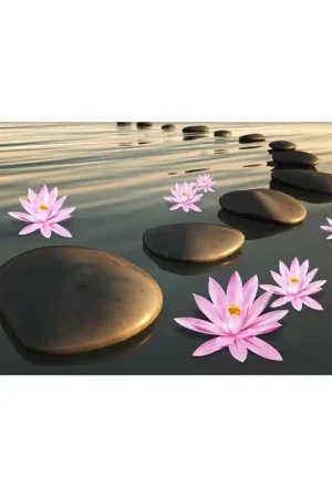 Tendance Revêtement sol paysage zen - Les lotus au coucher du soleil