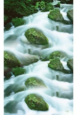 Expédié Aujourd’hui Revêtement sol paysage zen - La cascade 3