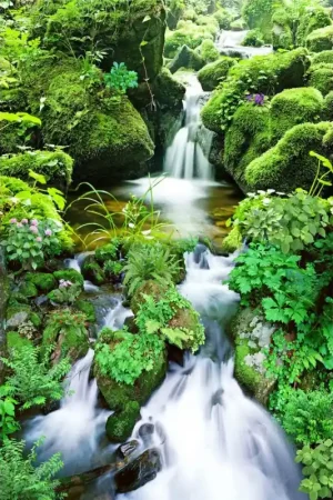 Expédié Aujourd’hui Revêtement de sol paysage - Chute d'eau dans la montagne