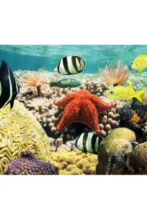 Commander Vite Revêtement de sol salle de bain trompe l'œil 3D - Etoile de mer géante sur les coraux