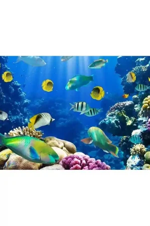 Commande En Gros Revêtement de sol paysage fond marin - Les poissons et les coraux