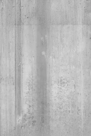 Papier Peint Imitation - Béton en noir et blanc Offre Spéciale