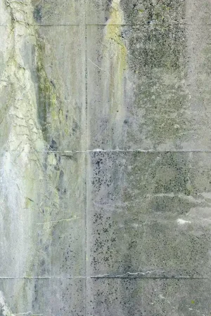 Papier Peint Imitation - Béton vieilli par les intempéries Commande En Gros