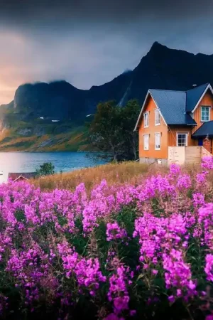 Achat Immédiat Papier peint panoramique - Maison orange sur un fjord violet. - Maison orange sur un fjord violet.