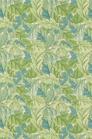 ACANTHUS Marque