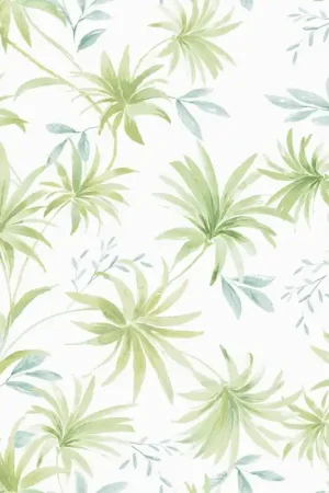Acheter Direct UMBRELLA PALM FABRIC