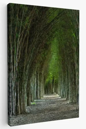 Acheter Direct Tableau toile - Chemin Forêt