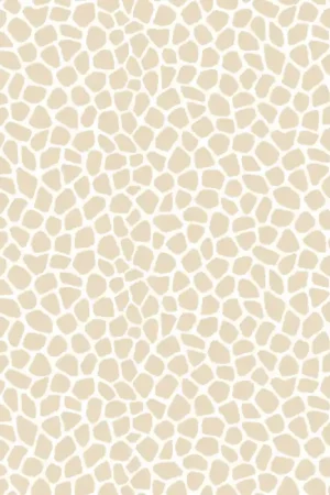ANIMAL PRINT INFANTIL EVO Meilleure Vente