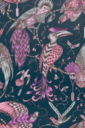 Exclusif AUDUBON