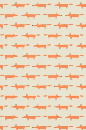 Acheter En Ligne Little Fox
