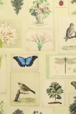 Promotion Saisonnière FLORA AND FAUNA