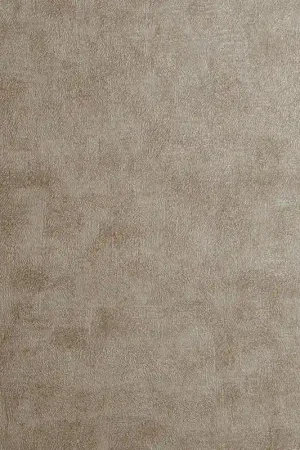 Acheter Direct CHINCHILLA