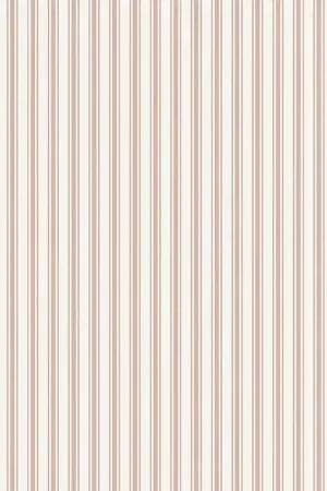 Commander Vite Aspo Stripe