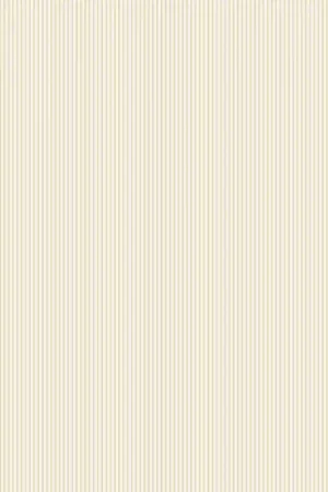 CANDY STRIPE Authentique