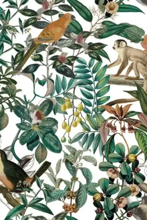 Acheter En Ligne SELVA AMAZÓNICA