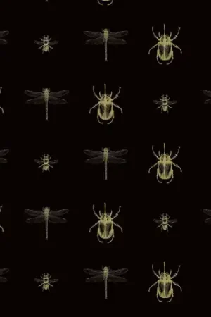 INSECTS E GOLD Prix Choc