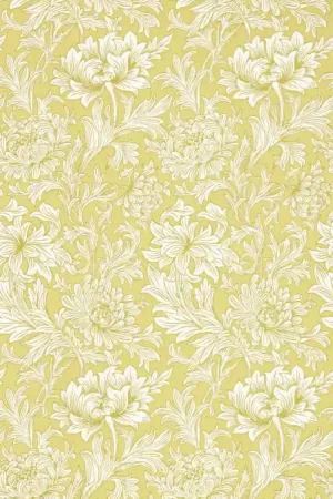 CHRYSANTHEMUM TOILE Meilleur Prix