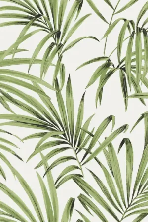 Bon Marché Palm