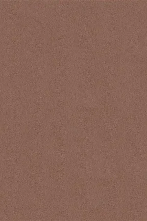 31083 Authentique