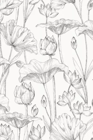 Édition Limitée Lotus