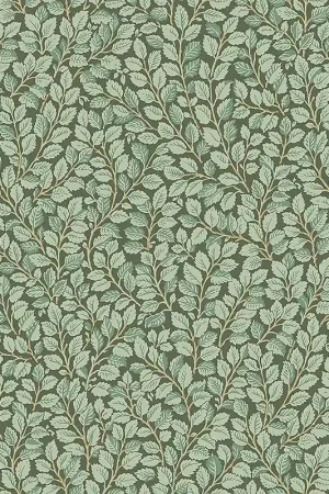 Dernier Modèle HAZEL