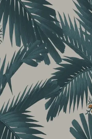 PALM SPRING Meilleur Choix