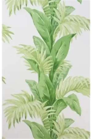 Édition Limitée PALMETTO