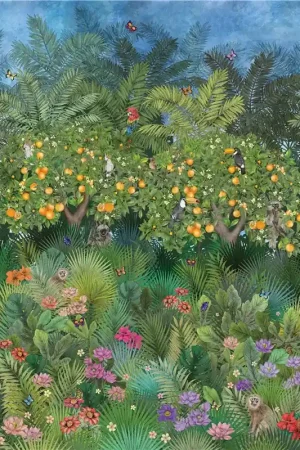 ORANGE GROVE Meilleur Prix