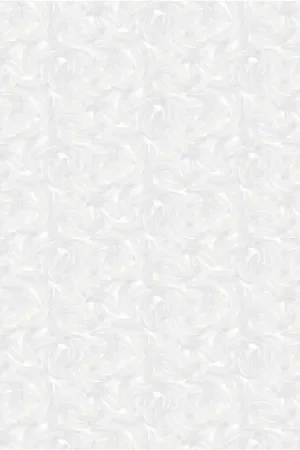 PLUME Acheter En Ligne