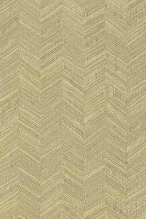 Nouvelle Collection CHEVRON SIMPOSIUM