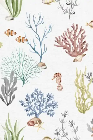 CORAL Offre Limitée