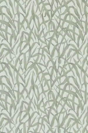 Exclusif ORNAMENTAL GRASSES
