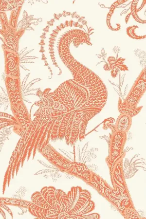 BALINESE PEACOCK Meilleur Prix