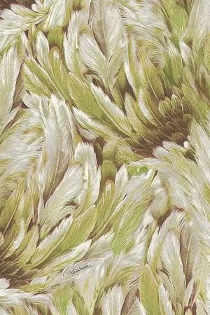 CAVALLI PLUME Prix Réduit