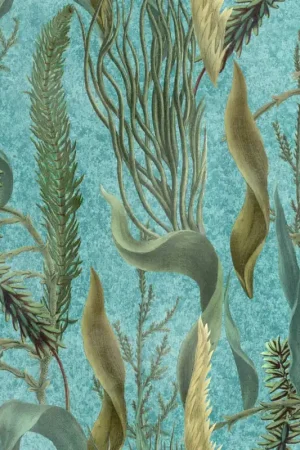 AQUATIC PLANTS Offre Exclusive