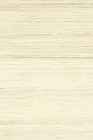 ABACA Promotion Saisonnière